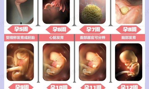 洋槐花图片-洋槐花吃法网洋槐花的做法大全家常菜知识网站,分享洋槐花的做法大全家常菜大全