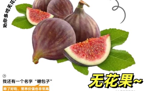 洋槐树花的吃法-洋槐花吃法网洋槐花的做法大全家常菜知识网站,分享洋槐花的做法大全家常菜大全