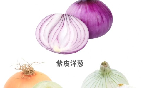 洋槐花的神仙吃法-洋槐花吃法网洋槐花的做法大全家常菜知识网站,分享洋槐花的做法大全家常菜大全